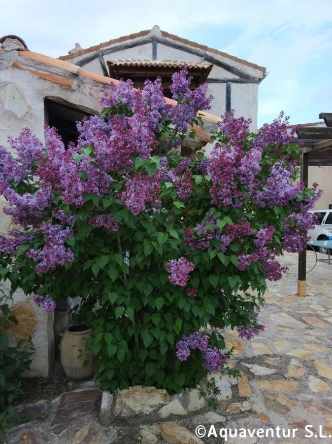 Casa De Los Piragueistas Taravilla Εξωτερικό φωτογραφία